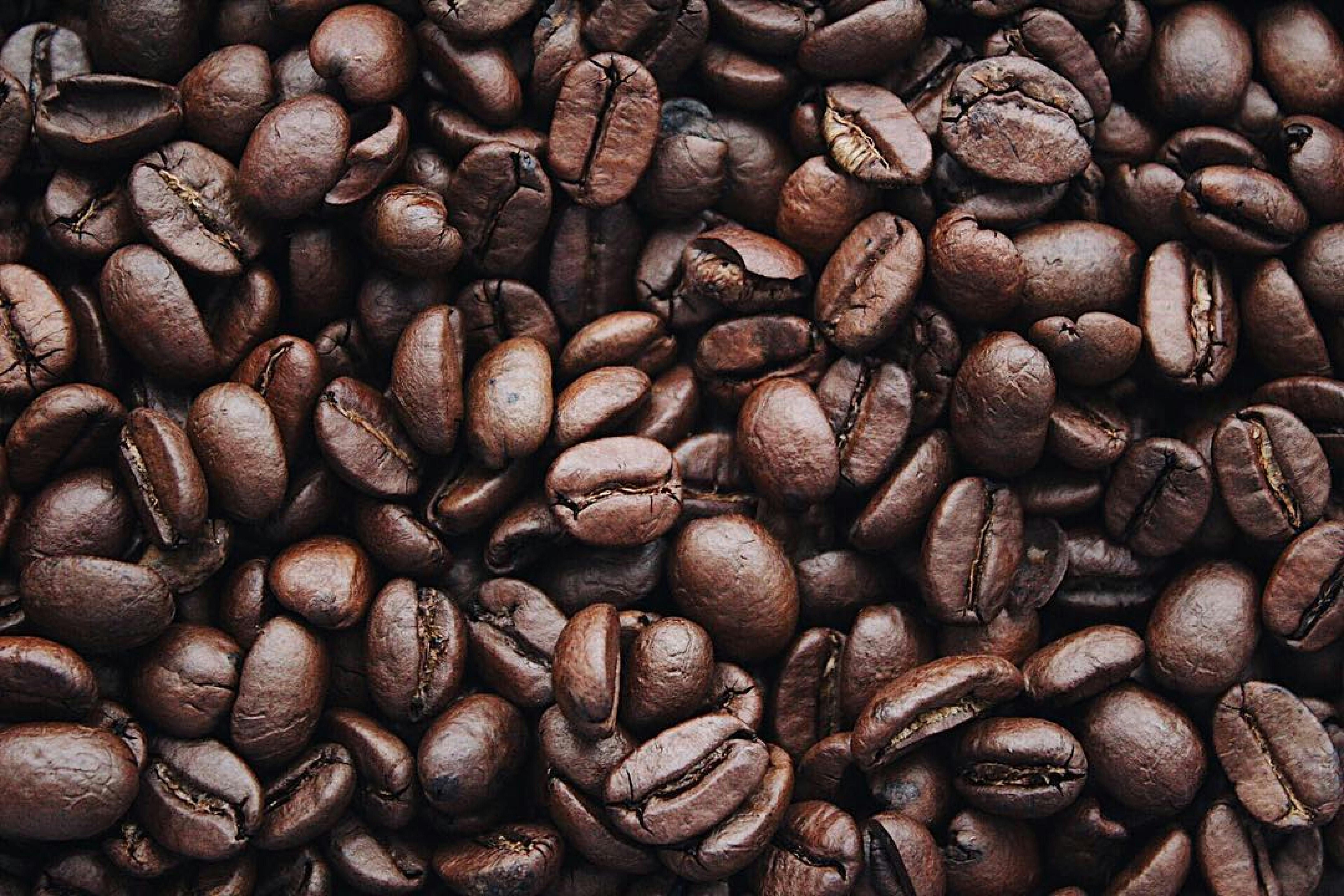 Awaken Your Senses, Elevate Your Mornings